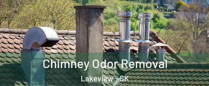  Chimney Odor Removal Lakeview - SK