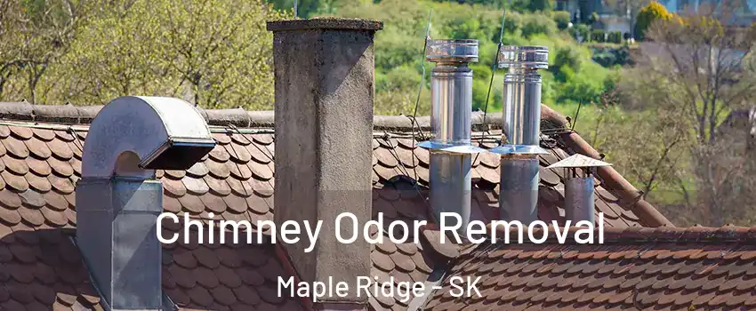  Chimney Odor Removal Maple Ridge - SK