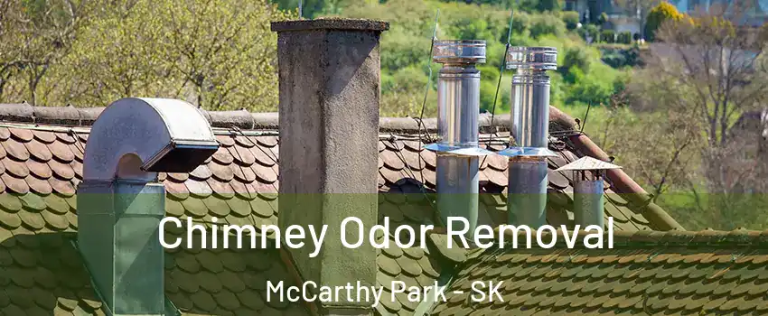  Chimney Odor Removal McCarthy Park - SK