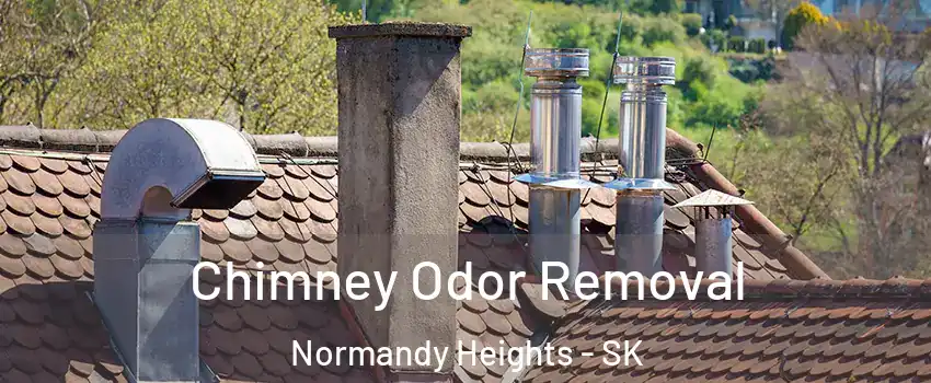  Chimney Odor Removal Normandy Heights - SK