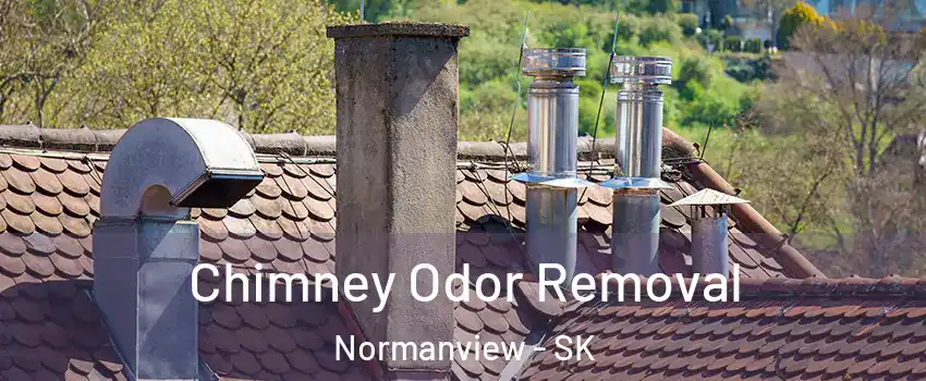  Chimney Odor Removal Normanview - SK