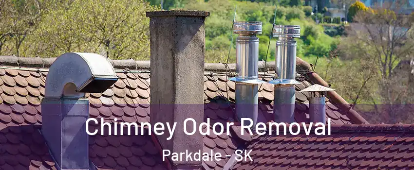  Chimney Odor Removal Parkdale - SK