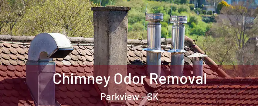  Chimney Odor Removal Parkview - SK