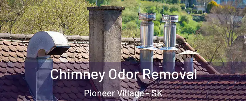  Chimney Odor Removal Pioneer Village - SK