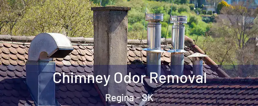  Chimney Odor Removal Regina - SK