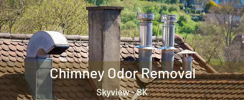  Chimney Odor Removal Skyview - SK