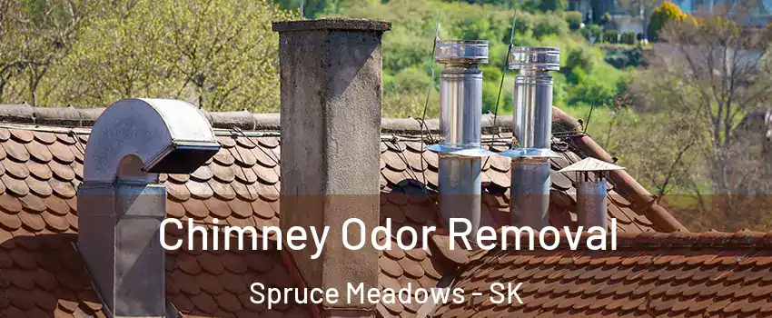  Chimney Odor Removal Spruce Meadows - SK