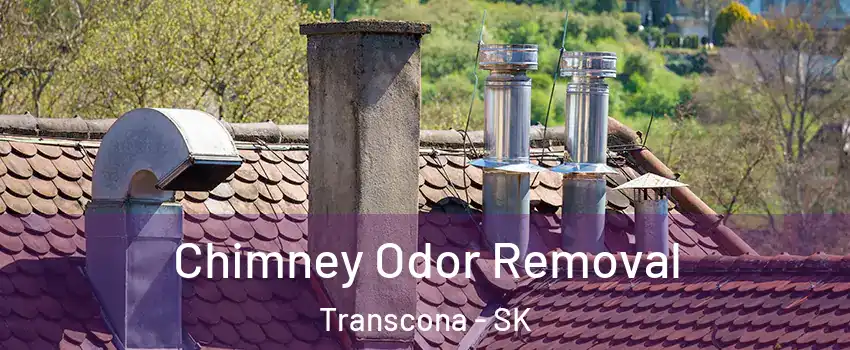  Chimney Odor Removal Transcona - SK