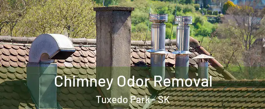  Chimney Odor Removal Tuxedo Park - SK