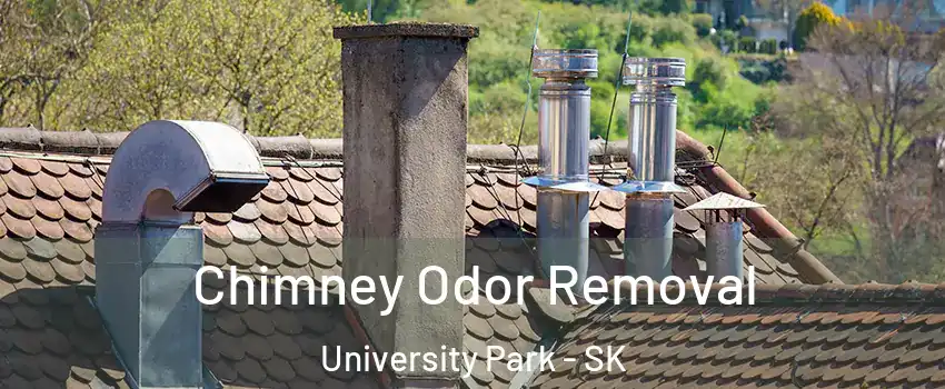  Chimney Odor Removal University Park - SK