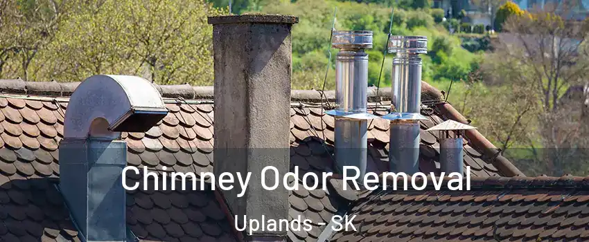  Chimney Odor Removal Uplands - SK