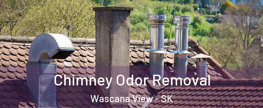  Chimney Odor Removal Wascana View - SK