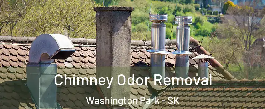  Chimney Odor Removal Washington Park - SK