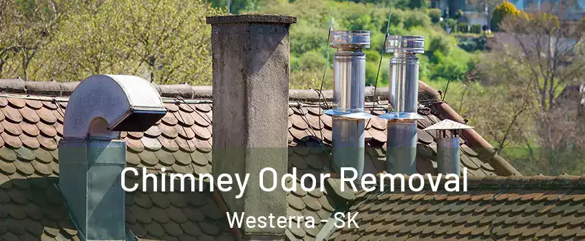  Chimney Odor Removal Westerra - SK
