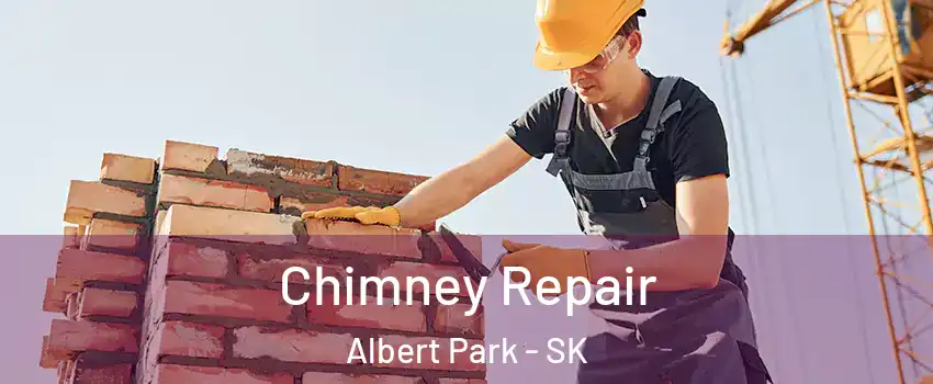  Chimney Repair Albert Park - SK