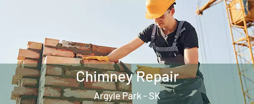  Chimney Repair Argyle Park - SK