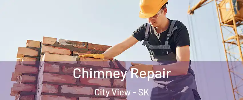  Chimney Repair City View - SK