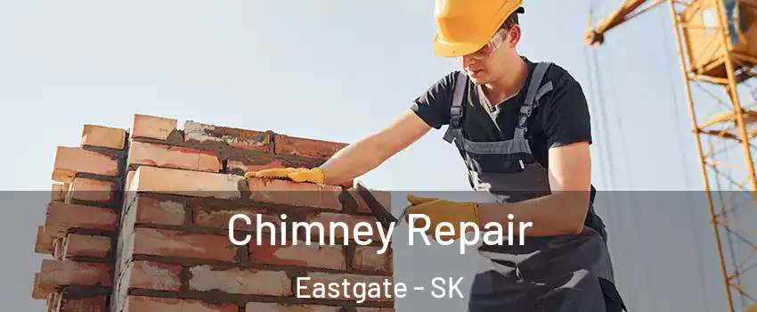  Chimney Repair Eastgate - SK