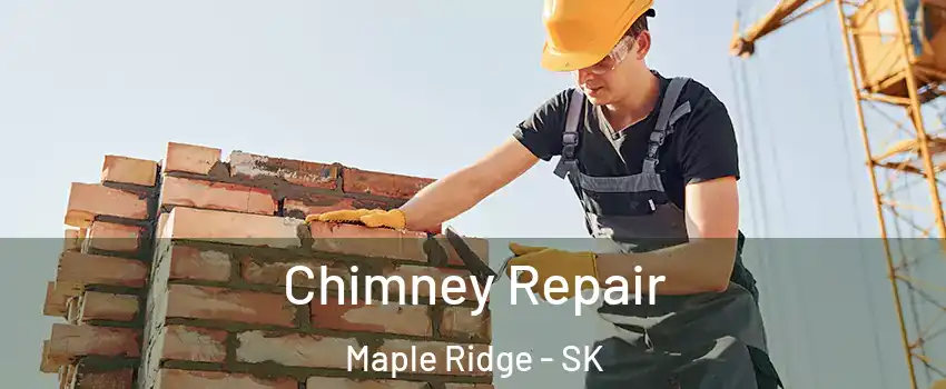  Chimney Repair Maple Ridge - SK