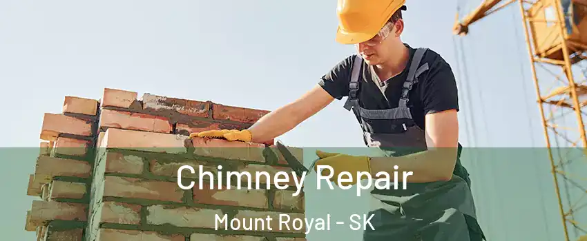  Chimney Repair Mount Royal - SK