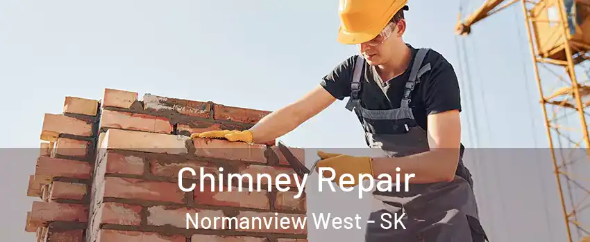  Chimney Repair Normanview West - SK