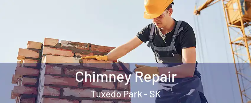  Chimney Repair Tuxedo Park - SK