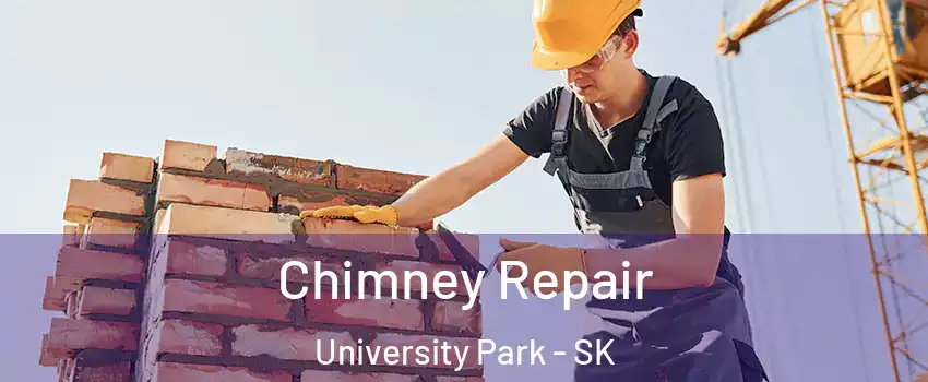 Chimney Repair University Park - SK