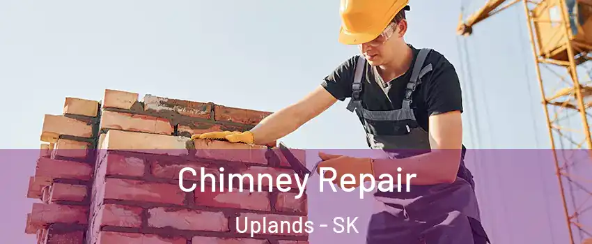  Chimney Repair Uplands - SK