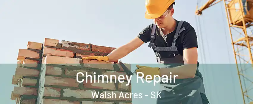  Chimney Repair Walsh Acres - SK