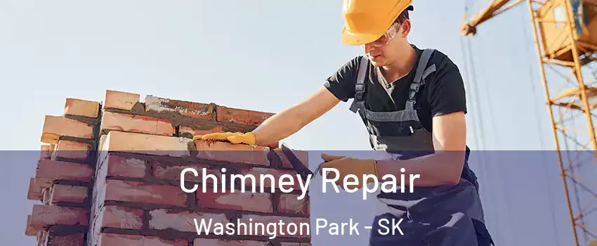  Chimney Repair Washington Park - SK