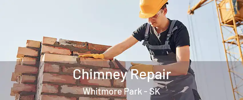  Chimney Repair Whitmore Park - SK