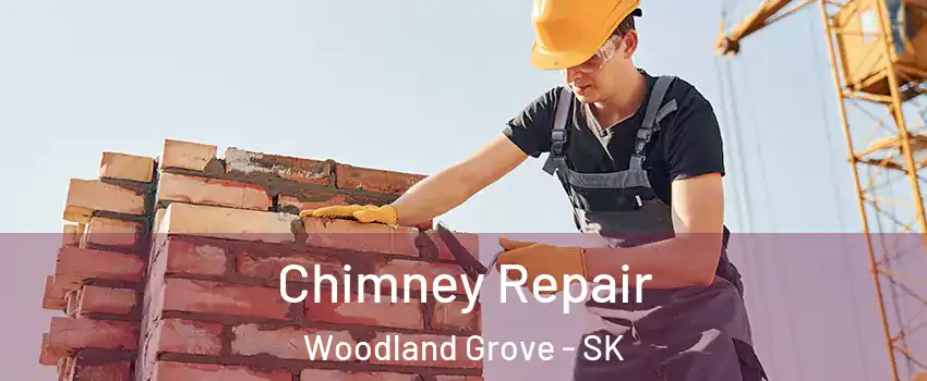  Chimney Repair Woodland Grove - SK