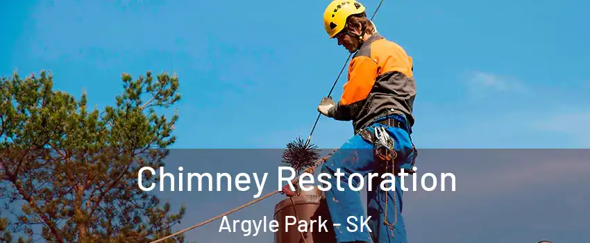  Chimney Restoration Argyle Park - SK