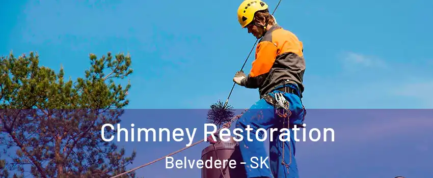  Chimney Restoration Belvedere - SK
