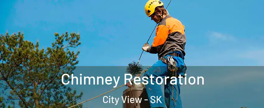  Chimney Restoration City View - SK