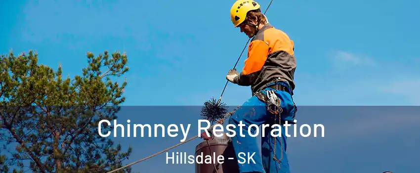  Chimney Restoration Hillsdale - SK