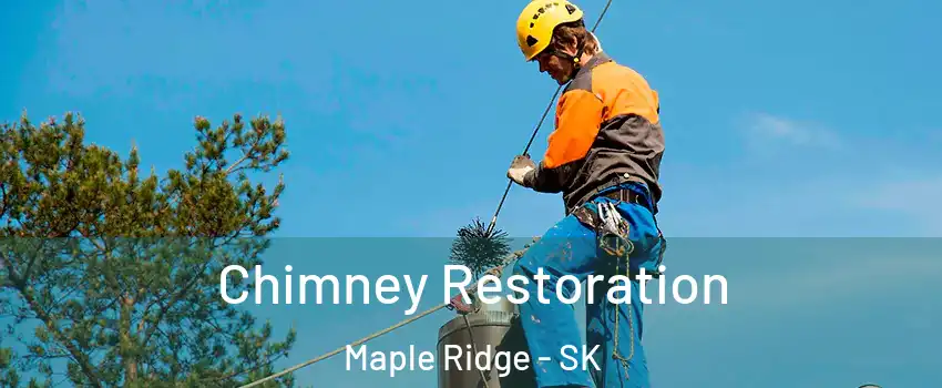  Chimney Restoration Maple Ridge - SK