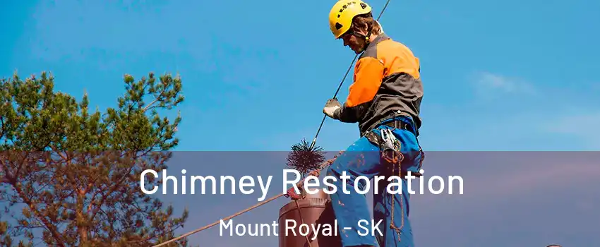  Chimney Restoration Mount Royal - SK