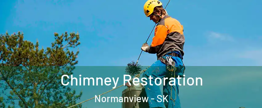 Chimney Restoration Normanview - SK