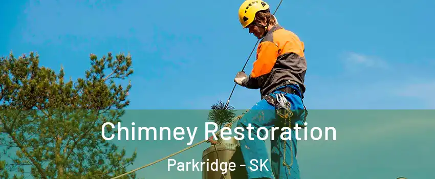  Chimney Restoration Parkridge - SK