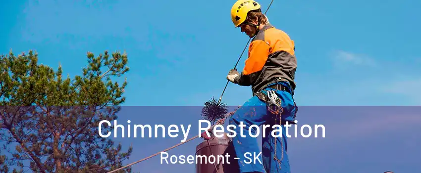  Chimney Restoration Rosemont - SK