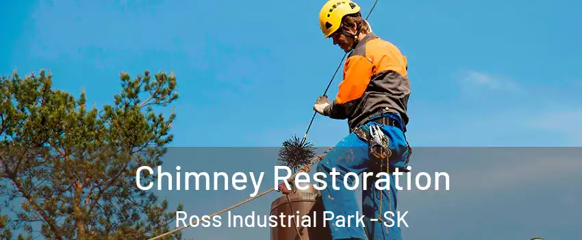 Chimney Restoration Ross Industrial Park - SK