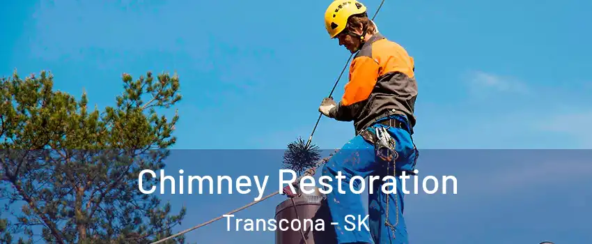  Chimney Restoration Transcona - SK