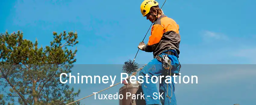  Chimney Restoration Tuxedo Park - SK