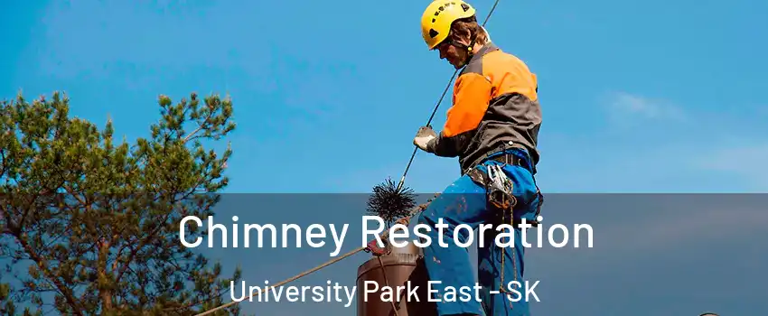  Chimney Restoration University Park East - SK