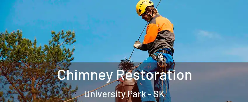  Chimney Restoration University Park - SK