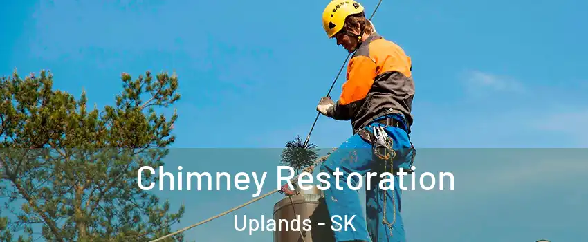  Chimney Restoration Uplands - SK
