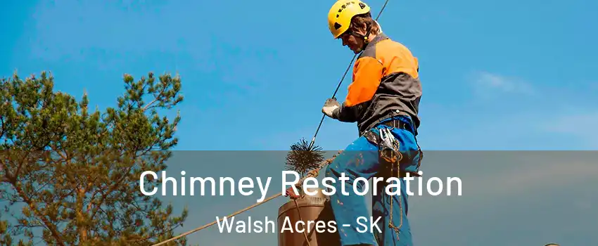  Chimney Restoration Walsh Acres - SK