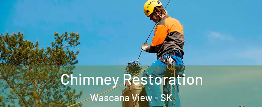  Chimney Restoration Wascana View - SK