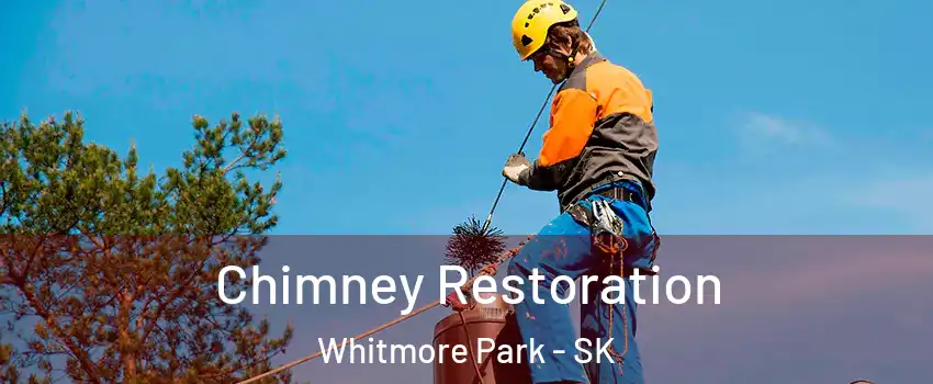  Chimney Restoration Whitmore Park - SK